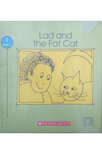 Bob books -lad and the fat cat