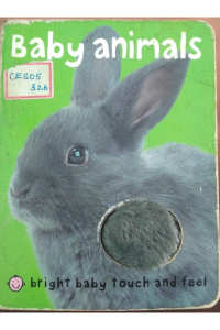 Baby animals